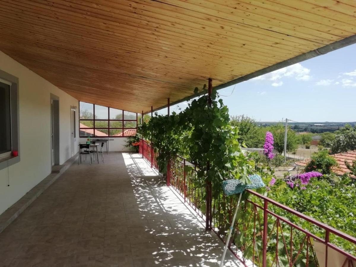 Elena Apartment Benkovac Luaran gambar